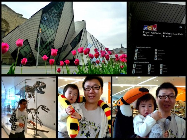 Royal Ontario Museum