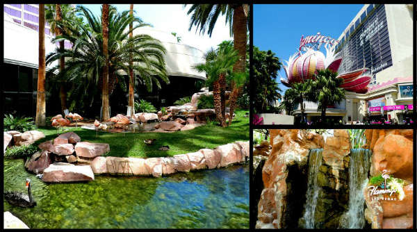 flamingo hotel
