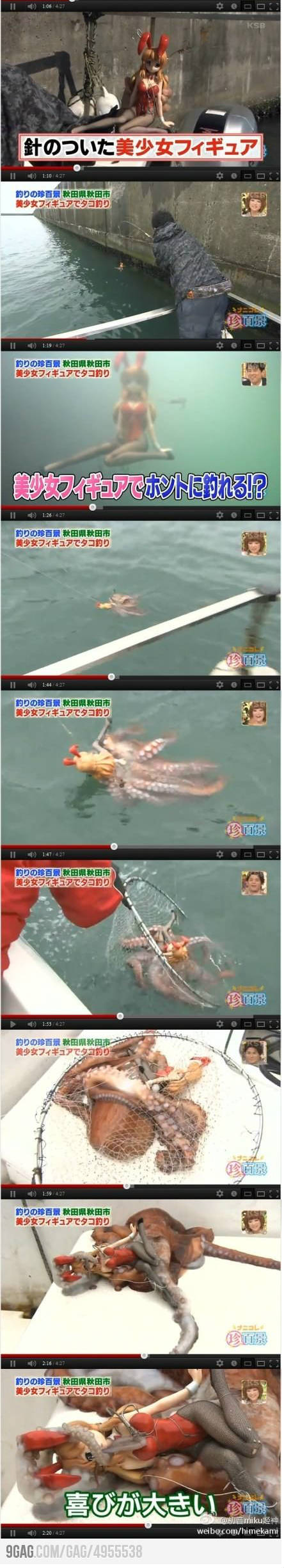 how to catch an octopus