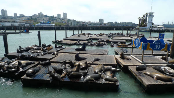 Pier 39