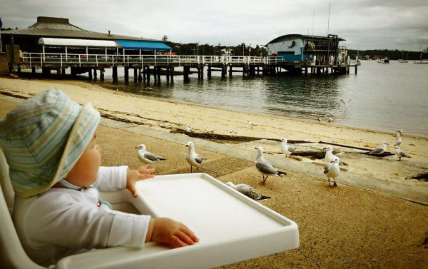 Oli looking at Seagulls