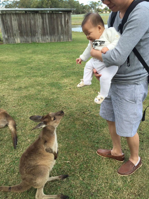 Oli looking at Kangaroo